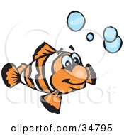Poster, Art Print Of Happy Orange And White Clownfish Swimming With Blue Bubbles