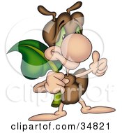 Poster, Art Print Of Cute Brown Ant Character Carrying A Leaf And Giving The Thumbs Up