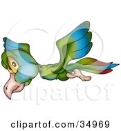 Poster, Art Print Of Flying Green Blue And Red Bird With Yellow Eyes Glancing While Passing