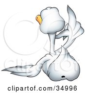 Poster, Art Print Of Rear View Of A White Goose Pointing Upwards
