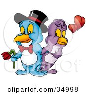 Poster, Art Print Of Romantic Blue Male Bird In A Bow Tie And Hat Holding A Rose For His Beautiful Purple Female