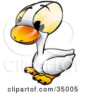 Poster, Art Print Of Cute White Duckling With Big Yellow Eyes