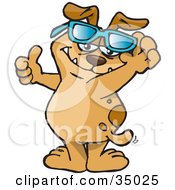 Hip Brown Dog Lifting His Glasses And Giving The Thumbs Up