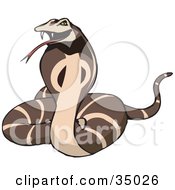 Clipart Illustration Of A Defensive Brown Cobra Snake Hissing And Flaring Its Hood by Dennis Holmes Designs