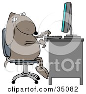 Brown Dog Sitting At A Desk And Using A Desktop Computer