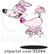 Clipart Illustration Of A High Strung Pink Poodle Leaping Into The Air by Dennis Holmes Designs