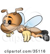 Poster, Art Print Of Happy Go Lucky Brown Fly Flying