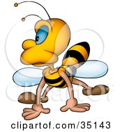 Poster, Art Print Of Grumpy Honeybee Landing And Looking To The Left