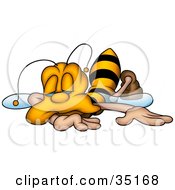 Exhausted Honeybee Collapsed And Falling Asleep