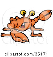 Stressed Orange Crab Gesturing With His Claws