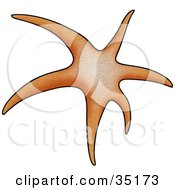 Clipart Illustration Of A Long Armed Orange Starfish