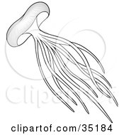 Clipart Illustration Of A Swimming Black And White Jellyfish With Long Tentacles