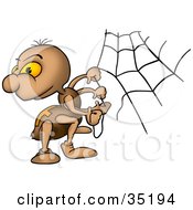 Poster, Art Print Of Brown Spider With Orange Eyes Looking Back While Creating A Web