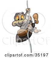 Poster, Art Print Of Sneaky Spider Sliding Down A String And Pointing Right