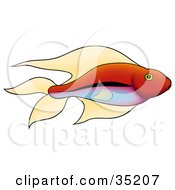 Poster, Art Print Of Pretty Red Fish With Green Eyes And A Gradient Blue And Purple Belly