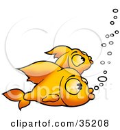 Two Bored Goldfish Swimming With Bubbles