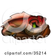 Poster, Art Print Of Gradient Red Green And Brown Fish With Mean Green Eyes