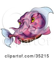 Clipart Illustration Of A Grouchy Purple Patterned Fish With Yellow Eyes Glaring At The Viewer