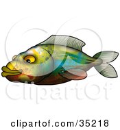 Clipart Illustration Of A Colorful Green Blue Brown Red And Yellow Fish Swimming Left