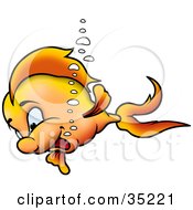 Happy Young Goldfish Swimming