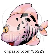 Poster, Art Print Of Goofy Purple Fish With Black Stripes And Spots