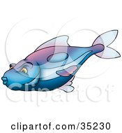 Poster, Art Print Of Gradient Blue And Purple Fish