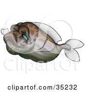 Poster, Art Print Of Gradient Green And Brown Fish With Faint Markings And Blue Eyes