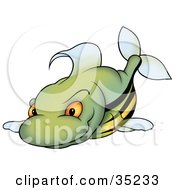 Poster, Art Print Of Mean Green Fish With A Yellow Belly Orange Eyes And Black Stripes