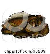 Clipart Illustration Of A Grouchy Brown And Green Fish With Mean Eyes