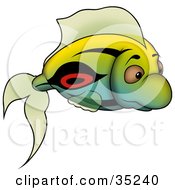 Poster, Art Print Of Gradient Green Blue And Yellow Fish With Black And Red Markings