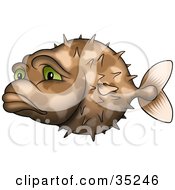 Poster, Art Print Of Sad And Lonely Brown Puffer Fish With Green Eyes
