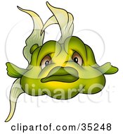 Poster, Art Print Of Chubby Green Fish With Brown Eyes Facing The Viewer