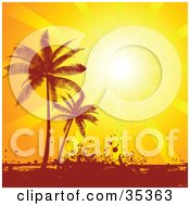 Poster, Art Print Of Bright Sunset Sun Shining Down On Silhouetted Palm Trees And Grunge