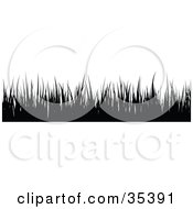 Poster, Art Print Of Border Of Black Silhouetted Blades Of Grass