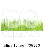 Clipart Illustration Of A Border Of Green Blades Of Grass