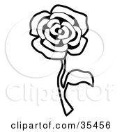 Clipart Illustration Of A Black And White Single Rose by C Charley-Franzwa