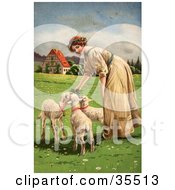 Beautiful Victorian Woman Smiling While Feeding Three Hungry Lambs In A Meadow On Easter