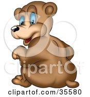 Poster, Art Print Of Cute Bear With Big Blue Eyes Smiling Back Over His Shoulder