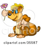 Poster, Art Print Of Curious Bear Admiring A Purple Spring Flower
