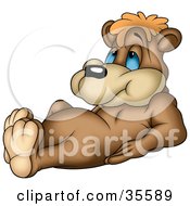 Cute And Lazy Brown Bear With Blue Eyes Laying On His Back Propped Up On His Elbows