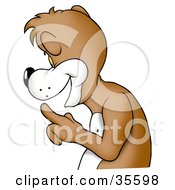 Poster, Art Print Of Friendly Bear In Profile Gesturing To Be Quiet