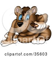 Clipart Illustration Of A Blue Eyed Bear Nibbling On A Fudge Pop