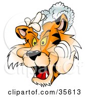 Poster, Art Print Of Tiger Washing His Mane With Shampoo