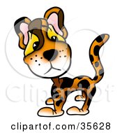 Poster, Art Print Of Adorable Leopard With Big Eyes
