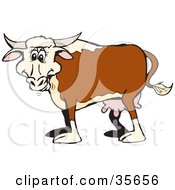 Poster, Art Print Of Happy Brown White And Beige Cow With Udders And Horns