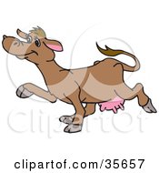 Poster, Art Print Of Happy Brown Cow With Pink Udders Walking In Profile To The Left