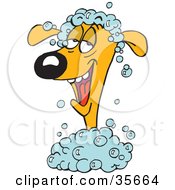 Poster, Art Print Of Relaxed Dog Taking A Pampering Bubble Bath