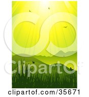 Poster, Art Print Of Vertical Green And Yellow Background Of Sunlight Shining Down On Birds And Butterflies In A Hilly Grassy Landscape