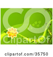 Poster, Art Print Of Green Spring Background With Rolling Hills Grasses And A Large Orange Flower