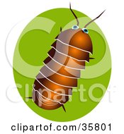 Poster, Art Print Of Brown Pillbug Or Roly Poly Bug Over A Green Circle